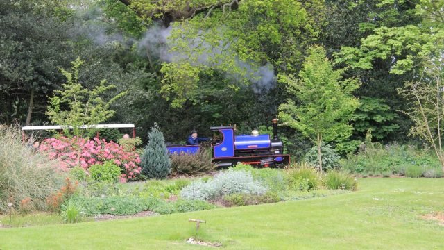 Bressingham Steam & Gardens 03-05-2014