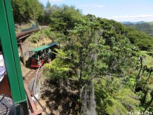 Driving creek railway, thames